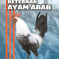 Image of Mari Beternak Ayam Arab